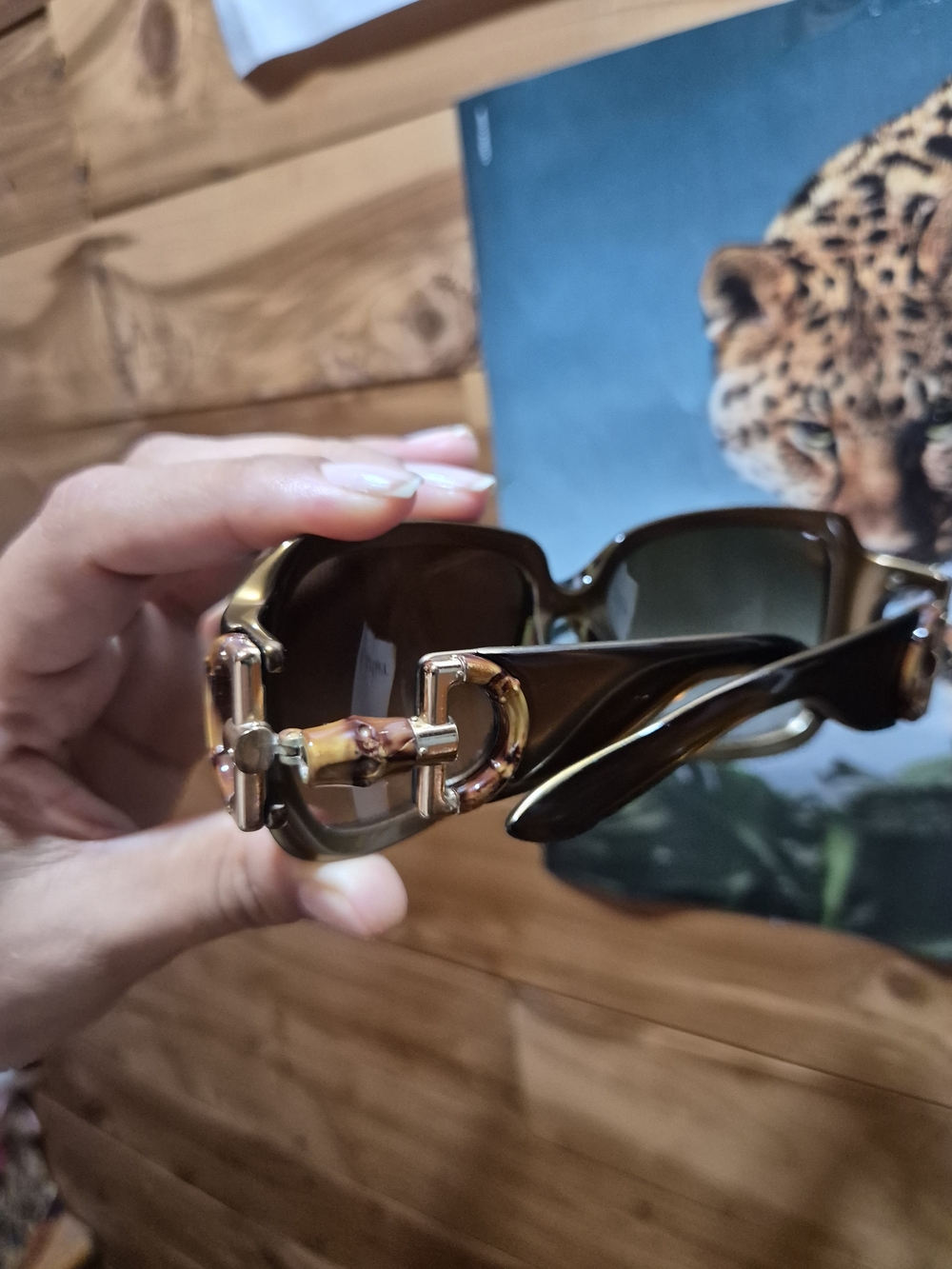 Gucci Brown Sunglasses with Gold Hardware